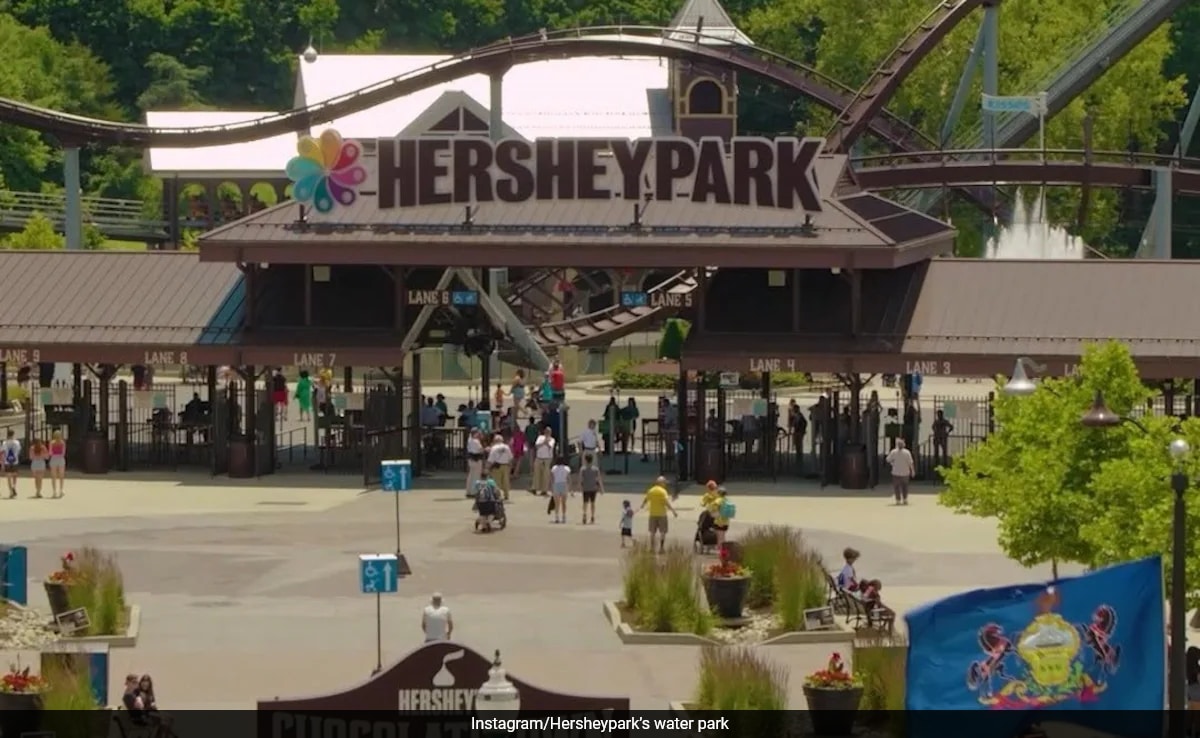 9-Year-Old Girl Dies After Incident In Pool In US, Witnesses Say She Was 'Limp'