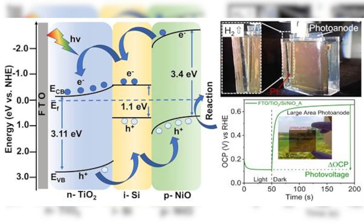 Schematic illustration of the n-i-p heterojunction photoanode showing charge transfer pathways for efficient solar water splitting. Inset images highlight the large-area photoanode (25 cm2) generating hydrogen under solar energy and its surface photovoltage response demonstrating strong photo-electrocatalytic activity and scalability.
