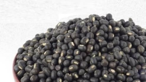काली उड़द दाल: स्वाद और सेहत का अनमोल खजाना, पोषण से भरपूर 