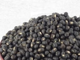 काली उड़द दाल: स्वाद और सेहत का अनमोल खजाना, पोषण से भरपूर  काली उड़द दाल: स्वाद और सेहत का अनमोल खजाना, पोषण से भरपूर