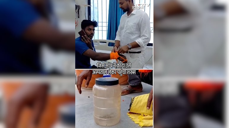 सांप ने काटा तो पकड़कर अस्पताल ले आया युवक, मच गई खलबली, डॉक्टर-स्टाफ के उड़े होश