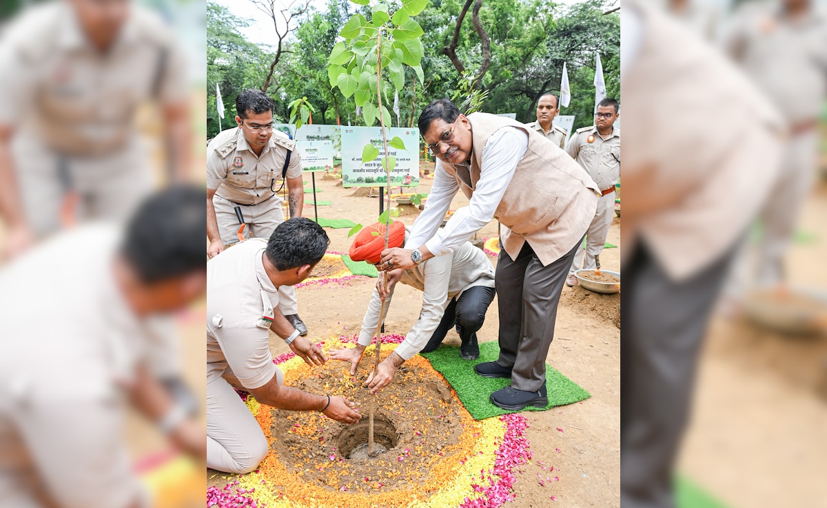 Chief Justice of India Justice Bhushan Ramakrishna Gavai plants a sapling in the memory of his mother during the Van Mahotsav event. Chief Justice of India Justice Bhushan Ramakrishna Gavai plants a sapling in the memory of his mother during the Van Mahotsav event.