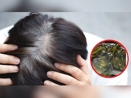 बस नारियल तेल में मिलाकर लगा लें ये 2 चीजें, आयुर्वेदिक डॉक्टर ने बताया सफेद बालों से मिल जाएगा छुटकारा बस नारियल तेल में मिलाकर लगा लें ये 2 चीजें, आयुर्वेदिक डॉक्टर ने बताया सफेद बालों से मिल जाएगा छुटकारा