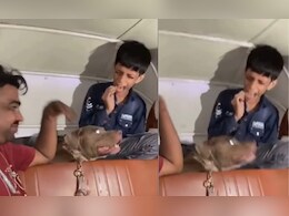 Pit Bull Attack: पिटबूलचा चिमुकल्यावर जीवघेणा हल्ला, मालक खिदळत राहिला; संतापजनक VIDEO Pit Bull Attack: पिटबूलचा चिमुकल्यावर जीवघेणा हल्ला, मालक खिदळत राहिला; संतापजनक VIDEO