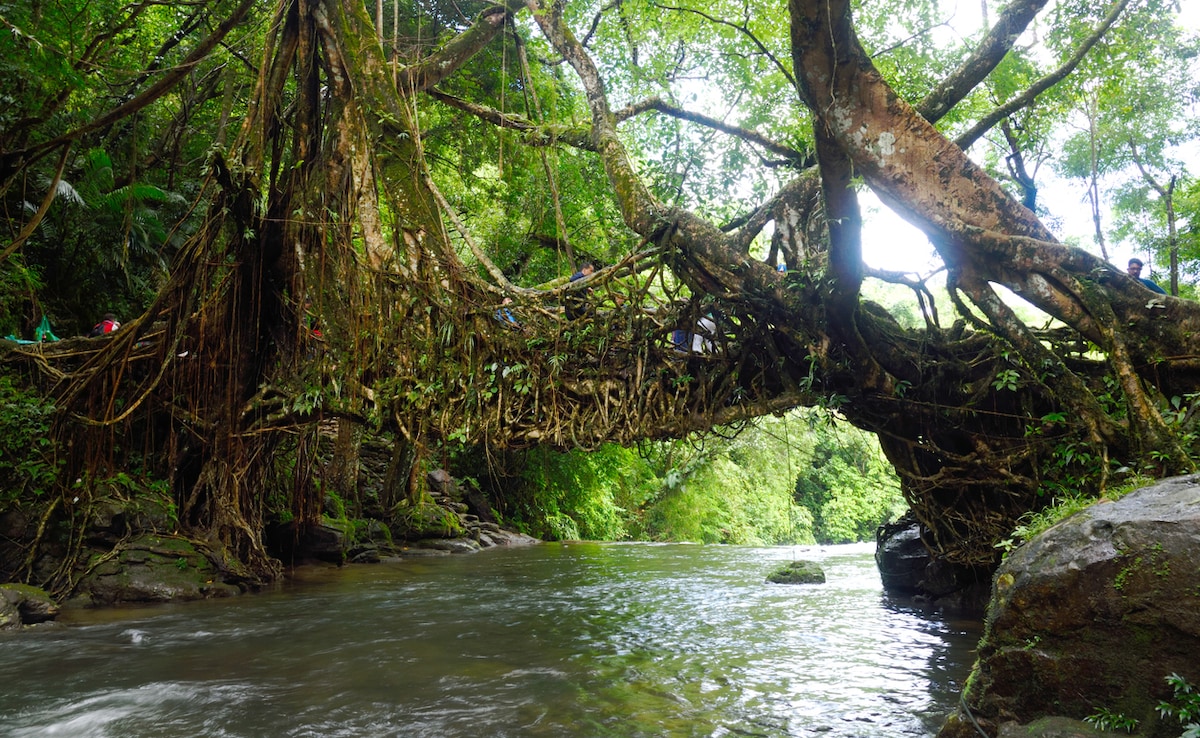 Photo: iStock Photo: iStock