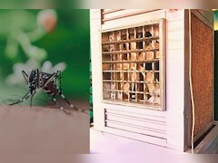 कूलर में हो गए हैं मच्छर तो डाल दें घर में रखी इस चीज की 5 बूंदे, एक भी Mosquito नहीं आएगा नजर