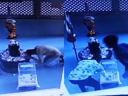 Pune Crime : पुण्यातील चोरांची चर्चा! महादेवाचा घेतला आशीर्वाद अन् दानपेटीतील पैसे केले लंपास