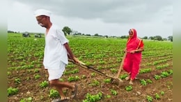 Latur News : बळीराजाचं राज्य कधी येणार? 75 वर्षांच्या शेतकऱ्याने 8 वर्षांपासून बैलाच्या जागी स्वत:ला जुंपलं&nbsp;