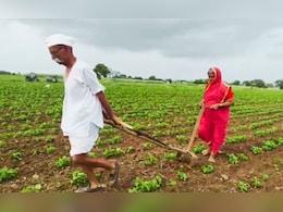 Latur News : बळीराजाचं राज्य कधी येणार? 75 वर्षांच्या शेतकऱ्याने 8 वर्षांपासून बैलाच्या जागी स्वत:ला जुंपलं 