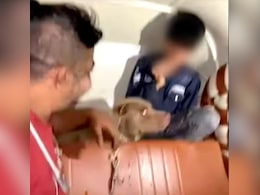 हंसता रहा मालिक, काटता रहा पिटबुल, 11 साल के बच्चे पर हुआ दिल दहला देने वाला हमला