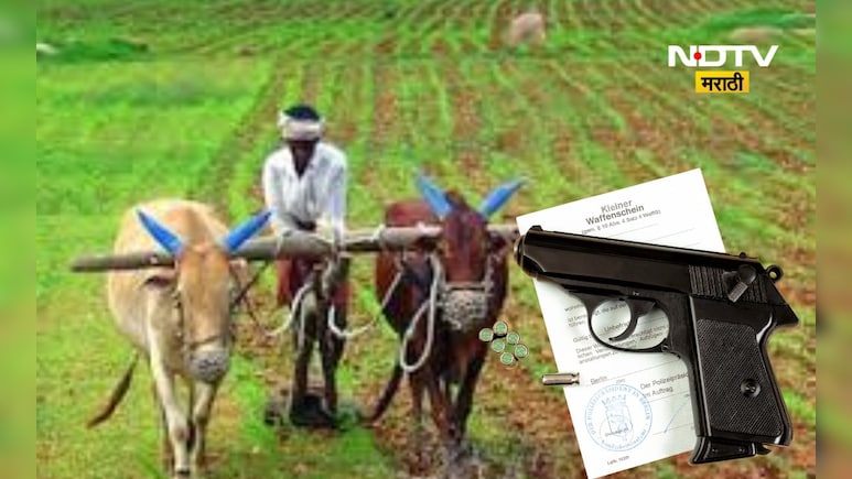 Latur News: शेतकऱ्याने शेवटी कंटाळून मागितला बंदुकीचा परवाना, कारण काय? Latur News: शेतकऱ्याने शेवटी कंटाळून मागितला बंदुकीचा परवाना, कारण काय?