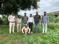 Exclusive: Tigress MT-1 Poisoned And Gone, Forest Department Says &quot;We Don&#039;t Know&quot;