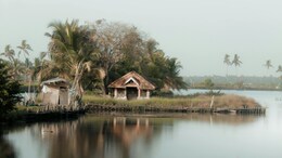 Anand Mahindra Is Bowled Over By This Kerala Village: How To Go And Where To Stay