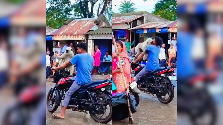 बाइक पर बिठाया लंगूर, अगले ही पल दिखाया जंगली रूप, चेहरे पर मारा झपट्टा, वीडियो में देखें खौफनाक हमला
