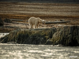 From Ice Sheets To Oceans: The Climate Tipping Points That Worry Scientists From Ice Sheets To Oceans: The Climate Tipping Points That Worry Scientists
