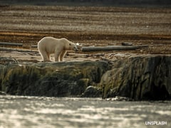 Climate Risks Recede From Short-Term Priorities — Even as Long-Term Threats Intensify