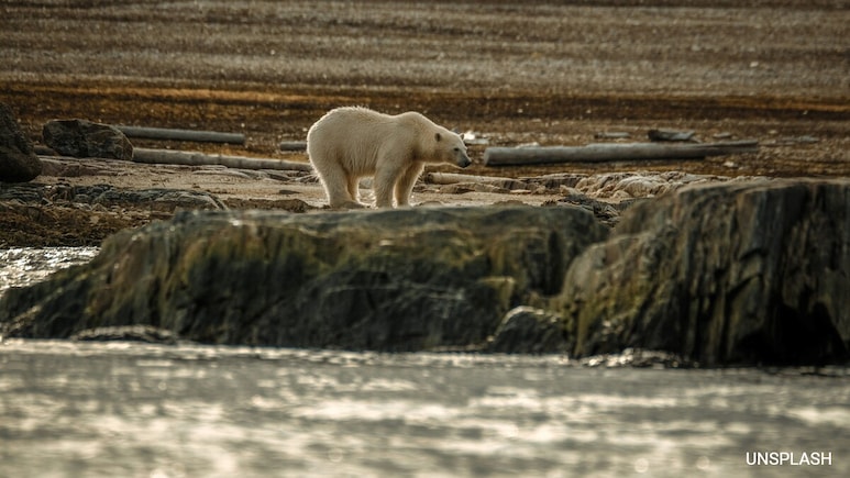 Climate Risks Recede From Short-Term Priorities &mdash; Even as Long-Term Threats Intensify