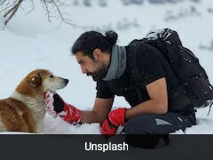 AI May Soon Let You Talk To Your Pet, Says New Research Initiative