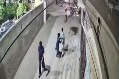Escaped Pet Lion Attacks Woman, Children On Pakistan Street Escaped Pet Lion Attacks Woman, Children On Pakistan Street