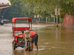 "I Am Leaving India": Gurugram Man's Emotional Outburst Over Flooded Roads