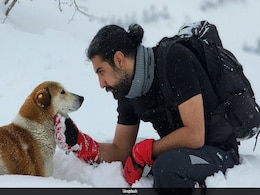 AI May Soon Let You Talk To Your Pet, Says New Research Initiative AI May Soon Let You Talk To Your Pet, Says New Research Initiative