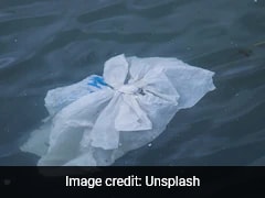 Scientists Develop Biodegradable Plastics That Can Dissolve In Seawater Or Soil