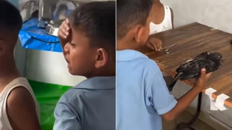 घायल कबूतर को अस्पताल लेकर पहुंचा छोटा बच्चा, नहीं बच पाई जान, तो फूट-फूटकर लगा रोने, Video दिल छू लेगा