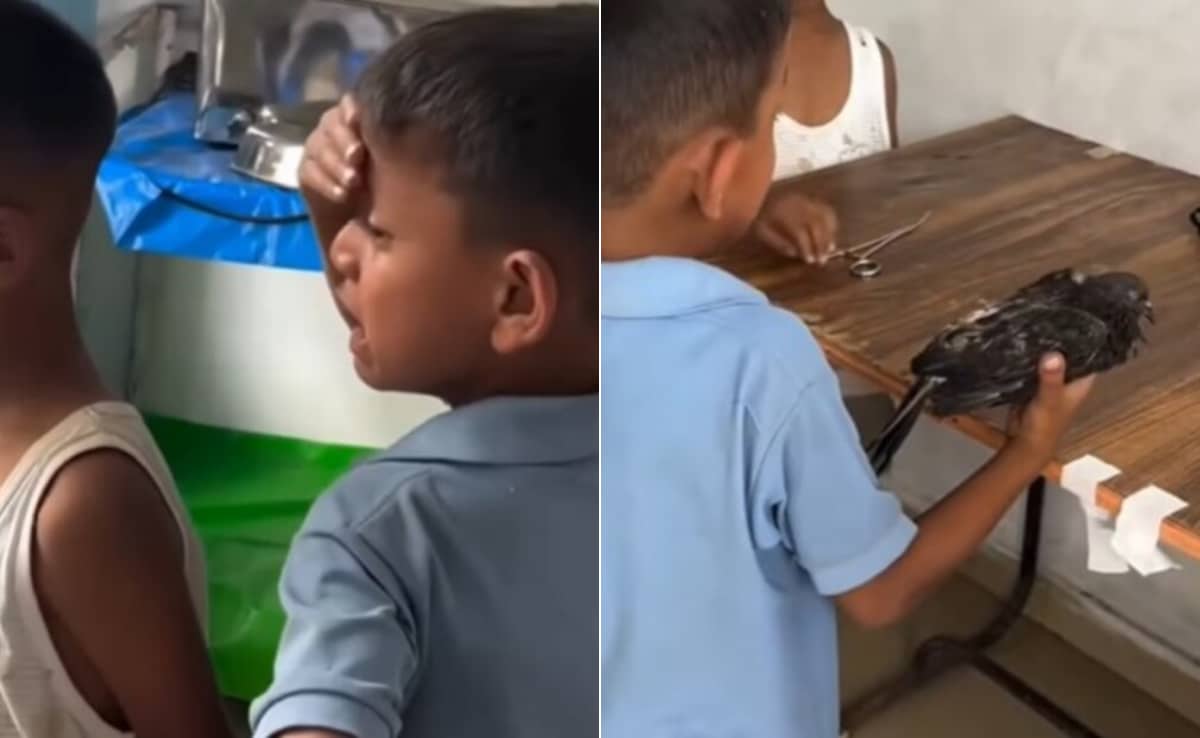 Известно е че децата имат дълбока привързаност към животните тъй