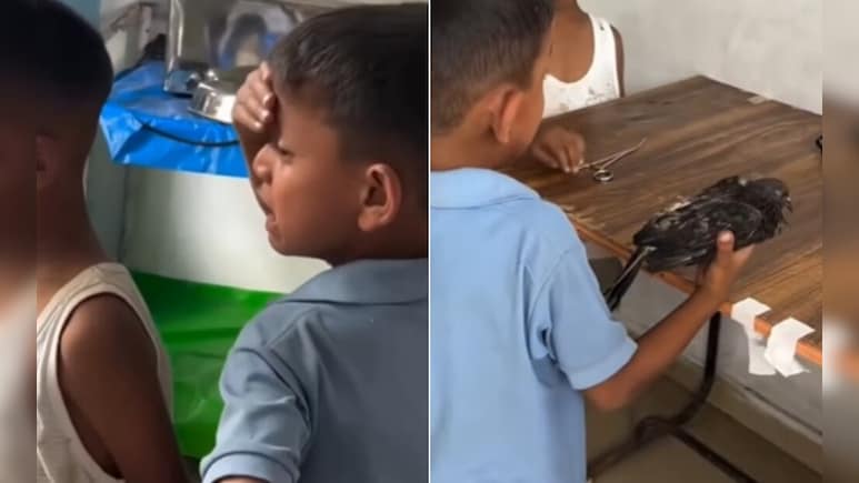 Watch: Arunachal Boy's Desperate Attempt To Save Injured Pigeon Goes Viral
