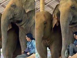जानवर और इंसान की अनोखी जुगलबंदी, केयरटेकर के साथ 'हाथियों ने गाया गाना', यूजर्स बोले- इससे सुंदर कुछ भी नहीं जानवर और इंसान की अनोखी जुगलबंदी, केयरटेकर के साथ 'हाथियों ने गाया गाना', यूजर्स बोले- इससे सुंदर कुछ भी नहीं