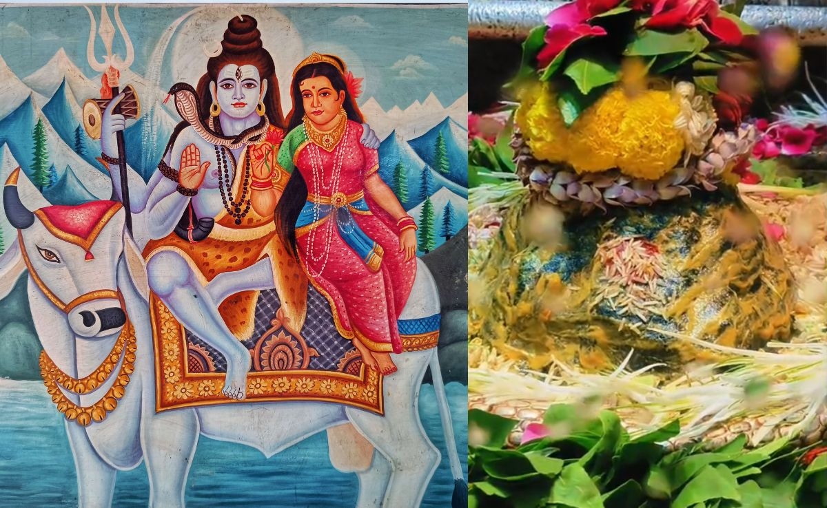 Latest and Breaking News on NDTV Latest and Breaking News on NDTV