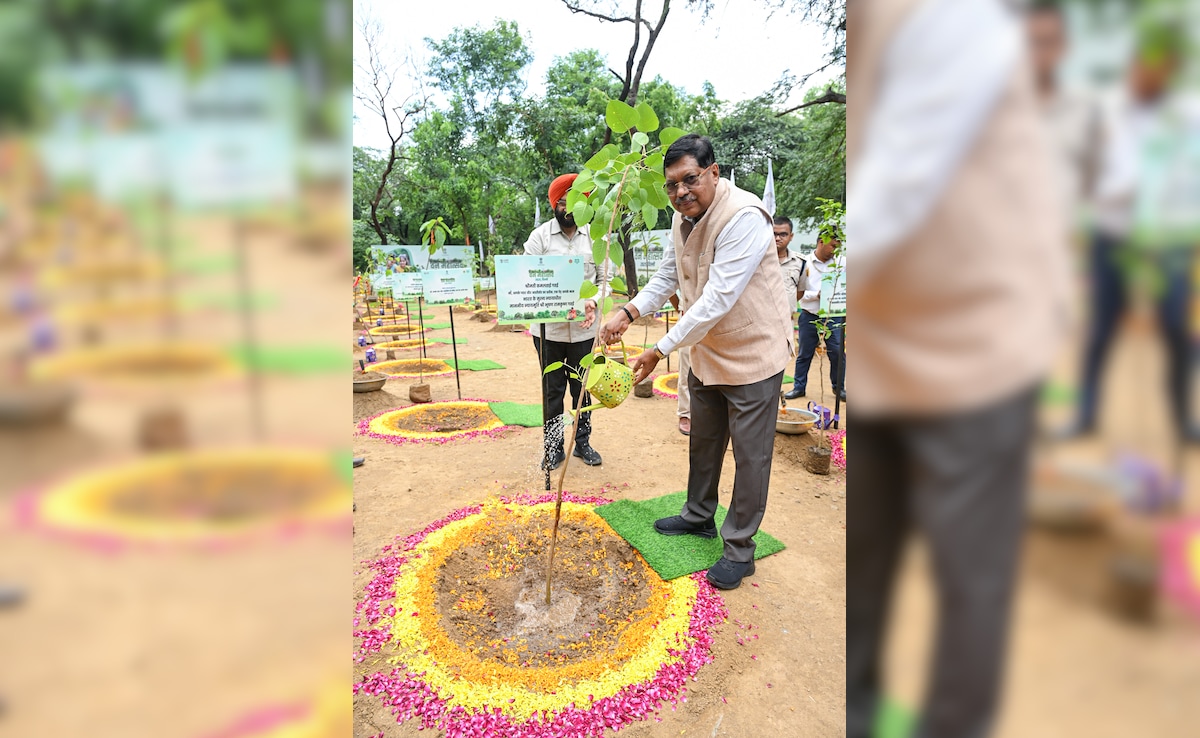 Chief Justice of India Justice Bhushan Ramakrishna Gavai waters a sapling during the Van Mahotsav event Chief Justice of India Justice Bhushan Ramakrishna Gavai waters a sapling during the Van Mahotsav event