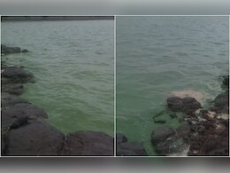 महाराष्ट्र के पुणे में बांध का पानी हुआ हरा, पानी इस्तेमाल करने वाले लोगों के माथे पर शिकन
