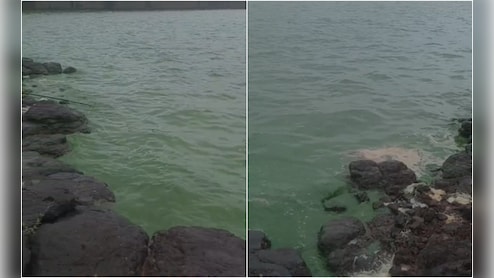 महाराष्ट्र के पुणे में बांध का पानी हुआ हरा, पानी इस्तेमाल करने वाले लोगों के माथे पर शिकन