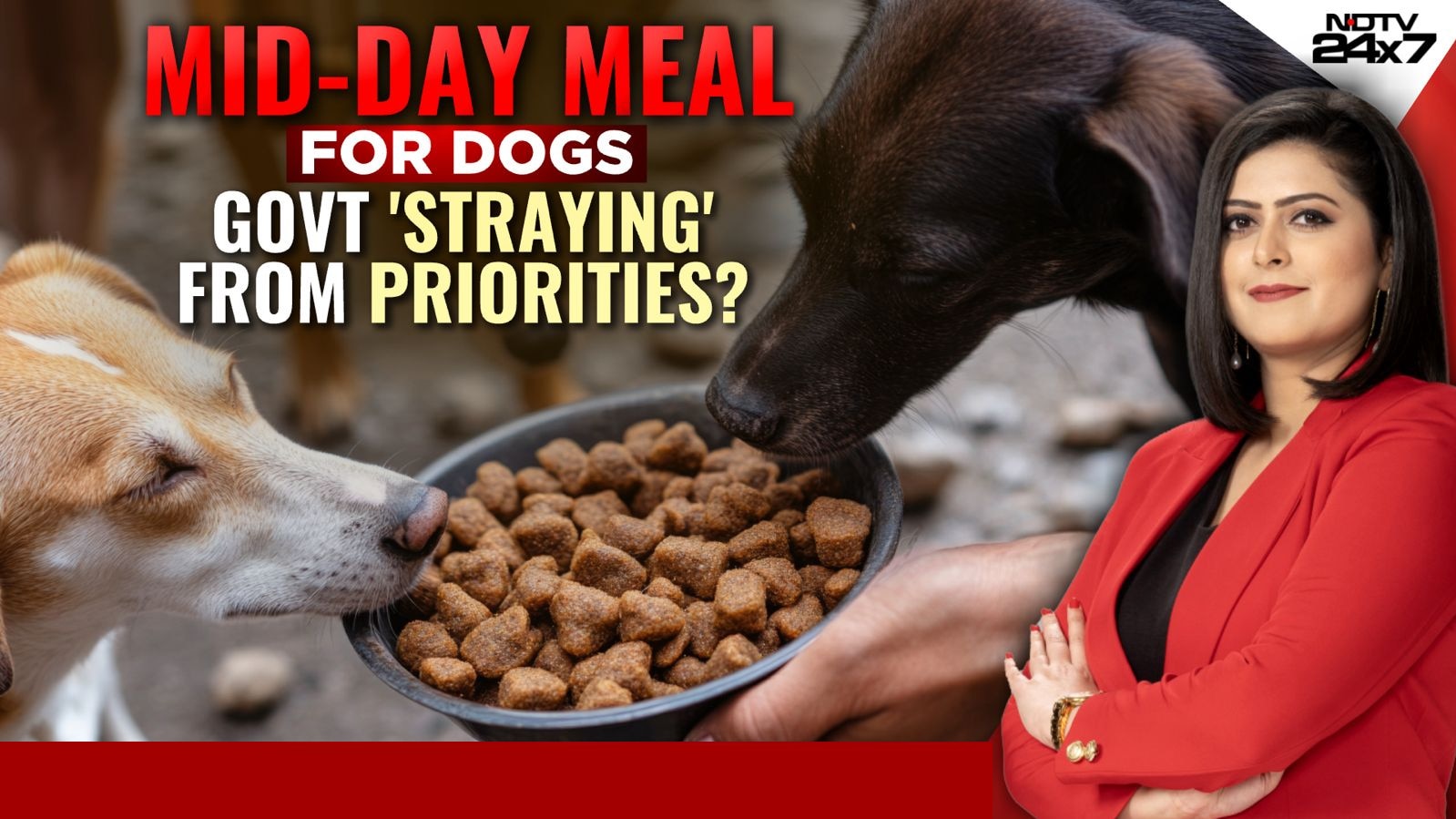 Mid-Day Meal For Dogs: Govt 'Straying' From Priorities?