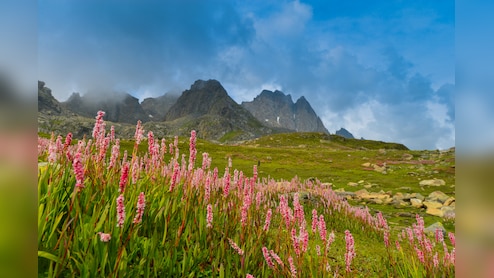 विश्व धरोहर फूलों की घाटी पर्यटकों के लिए बंद, इस साल 15 हजार दर्शकों ने किया दीदार
