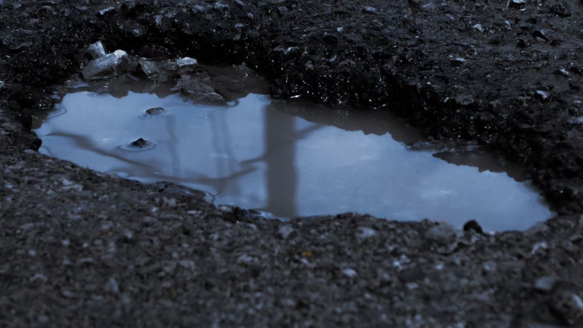 टूटी सड़क हो या गड्ढा, इस सरकारी ऐप से घर बैठे ऑनलाइन करें शिकायत
