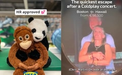 "HR Approved": IKEA, Tesla, Other Companies Milk Viral Coldplay Clip