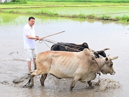 In Pics: Uttarakhand Chief Minister Plants Paddy, Says "Remembered Old Days" In Pics: Uttarakhand Chief Minister Plants Paddy, Says "Remembered Old Days"