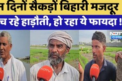 Kota News: हाड़ौती में Rice की बंपर sowing, सालों से आ रहे बिहारी labors