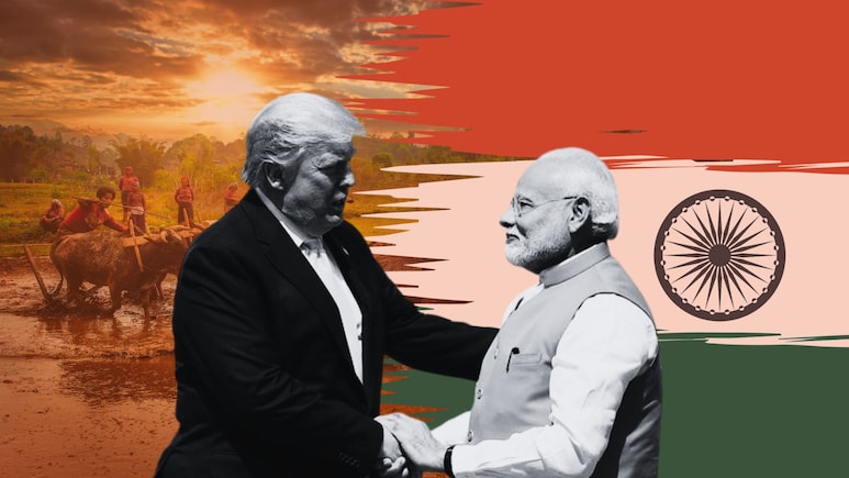 न खेत बराबर- न पैदावार.. अमेरिका से व्यापार समझौते में भारत डेयरी, कृषि आयात के मोर्चे पर क्यों नहीं झुक रहा