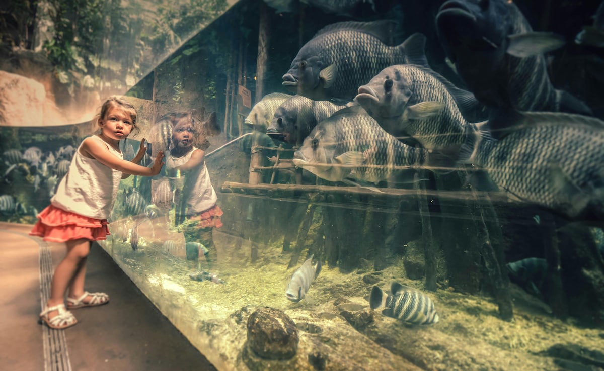 Latest and Breaking News on NDTV Latest and Breaking News on NDTV