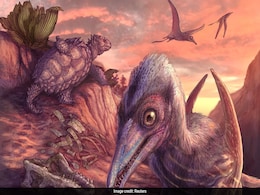 Scientists Find 200 Million-Year-Old Flying Reptile Species Scientists Find 200 Million-Year-Old Flying Reptile Species
