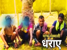 Naxalites Arrested: सुकमा में सुरक्षाबलों ने 1 नाबालिग समेत 5 नक्सलियों को किया गिरफ्तार, भारी मात्रा में विस्फोटक सामग्री भी बरामद Naxalites Arrested: सुकमा में सुरक्षाबलों ने 1 नाबालिग समेत 5 नक्सलियों को किया गिरफ्तार, भारी मात्रा में विस्फोटक सामग्री भी बरामद
