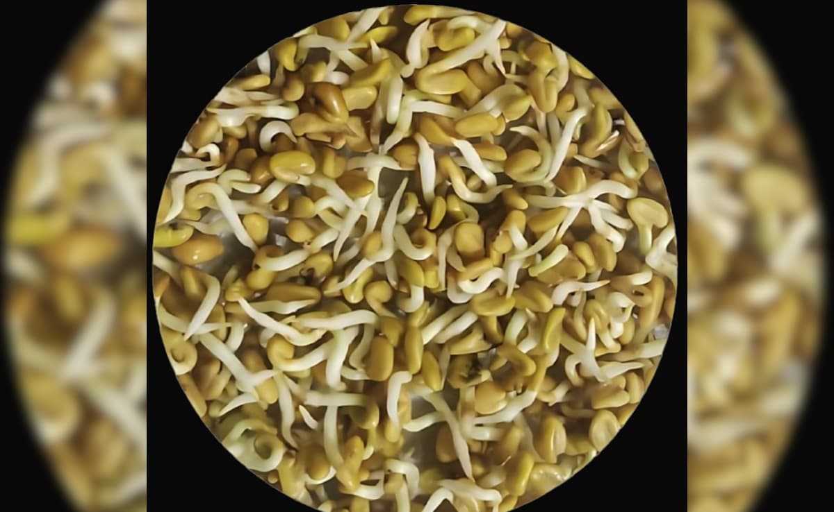 Latest and Breaking News on NDTV Latest and Breaking News on NDTV