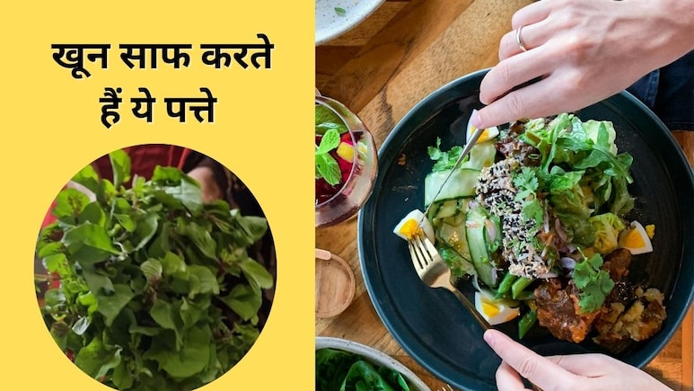 मॉनसून में मिलने वाली यह एक सब्जी खून को करती है साफ, एक्सपर्ट ने बताए रोजाना इस पत्तेदार वेजीटेबल को खाने के फायदे