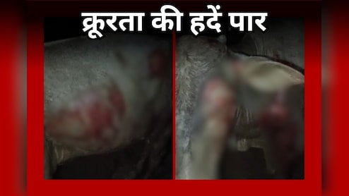 Rewa News: ऑटो के पीछे गाय को बांधा और कई मीटर तक घसीटा, Video Viral होने पर पुलिस ने ऐसे सिखाया सबक