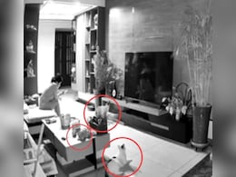 बिल्ली ने बचाई मालकिन की जान, खतरे से पहले ही दी अलर्ट की चेतावनी, CCTV फुटेज वायरल बिल्ली ने बचाई मालकिन की जान, खतरे से पहले ही दी अलर्ट की चेतावनी, CCTV फुटेज वायरल