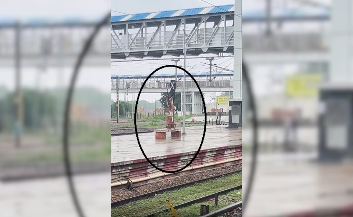 Възрастният мъж забеляза да прави йога в дъжд на железопътната платформа, интернет го нарича „Aura Farming“ 