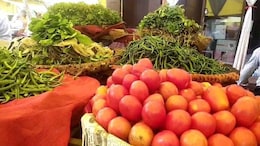 Vegetable Prices: 80 रुपये टमाटर और 100 रुपये किलो भिंडी... जानें- क्यों आसमान छूने लगी हरी सब्जियों के दाम